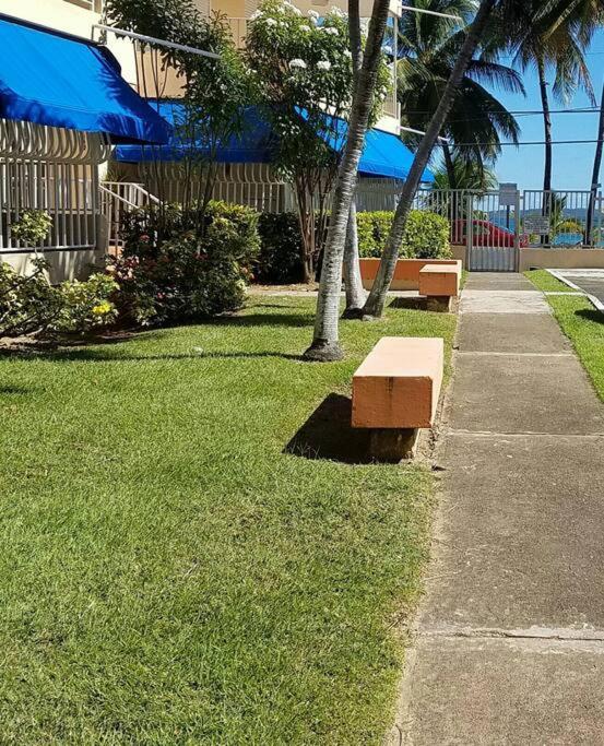 1St Floor, A/C Everywhere, Balcony With Beach View In Luquillo Luaran gambar
